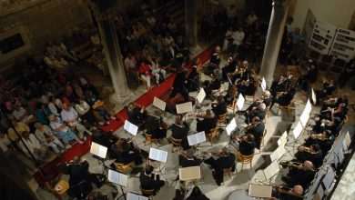 Vienna eagerly awaits Dubrovnik Symphony Orchestra 1 Dubrovnik Symphony Orchestra