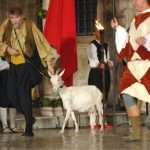 63rd Dubrovnik Summer Festival began! 6 Opening ceremony of the 63rd Dubrovnik Summer Festival