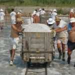 Sea salt harvest in Ston