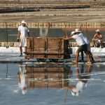 Sea salt harvest in Ston