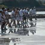 Sea salt harvest in Ston