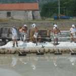 Sea salt harvest in Ston