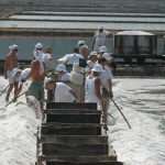 Sea salt harvest in Ston