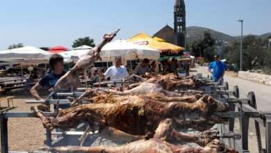 Siđ, traditional folk festival in Slano 1 Siđ, folk festival in Slano