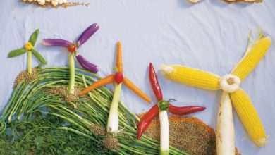 Food Energy at Food Film Festival Kinookus in Ston 2 kinookus