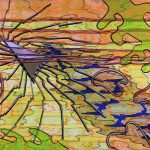 „White-headed radical move“ by Maro Mitrović 2 „White-headed radical move“ by Maro Mitrović