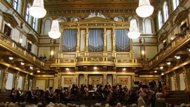 Dubrovnik Symphony Orchestra