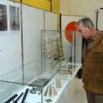 bonsai japan178 Copy