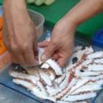 Sushi Cuisine In Cavtat 2 Sushi Cuisine In Cavtat