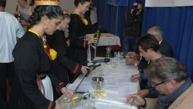 Kokam Young Wine Festival 18 kokam vinokusnja013