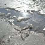 Photo: Winter Makes Art on the Streets of Dubrovnik 3 ice