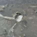 Photo: Winter Makes Art on the Streets of Dubrovnik 2 ice