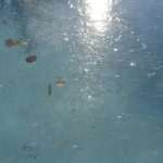 Photo: Winter Makes Art on the Streets of Dubrovnik 6 ice