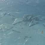 Photo: Winter Makes Art on the Streets of Dubrovnik 4 ice