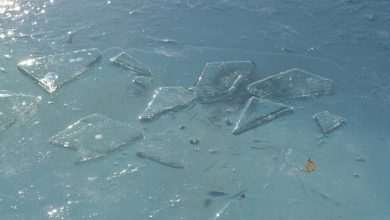 Photo: Winter Makes Art on the Streets of Dubrovnik 1 ice