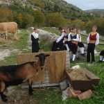 Eco Ethno in Osojnik