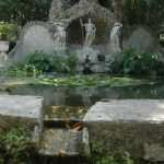 10 best Game of Thrones filming locations in Croatia 1 trsteno arboretum7404