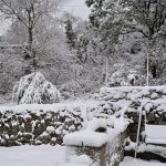 Let It Snow 4 Snow on Pelješac