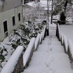 Let It Snow 9 Snow on Pelješac