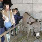 Christmas nativity Dubrovnik