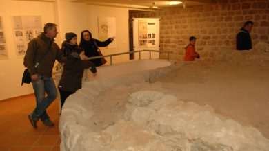 The tale of a lizard and more... 17 The Tower Gornji Ugao