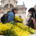 Dubrovnik Against Cervical Cancer 9 Mimoza day - Dubrovnik Against Cervical Cancer