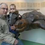 Museum Night Draws Crowds 15 Night of the Museums