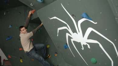 Climbing wall - Spider