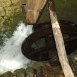 The Mills of the Ljuta River in Konavle 1 The Mills of the Ljuta River in Konavle