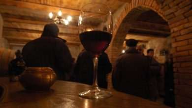 All Roads Lead to Pelješac Peninsula and the Reason is Wine 1 wine