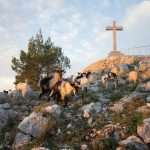 Experience Pelješac and Konavle