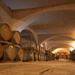 Experience Pelješac and Konavle