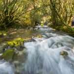 Experience Pelješac and Konavle