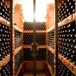 Experience Pelješac and Konavle