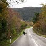 Experience Pelješac and Konavle