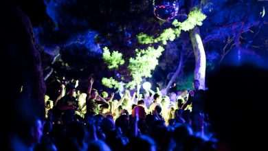 Garden Festival: Croatian Cool 9 Garden Festival - copyright Sophia Spring