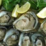 Oysters in Ston