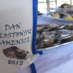 Oyster Day in Ston