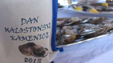 Oyster Day in Ston