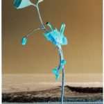 Peter Knapp Exhibition In Dubrovnik 2 Peter Knapp Exhibition In Dubrovnik