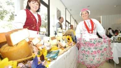 Taste the Mediterranean Fair in Dubrovnik! 1 10th Mediterranean Fair