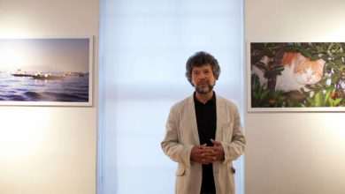 Frano Milos: New York International Olive Oil Competition Winner 12 Frano Miloš