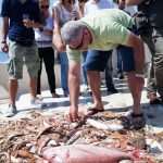 Become A Fisherman With Gulliver 11 Fishing trip with Gulliver Travel