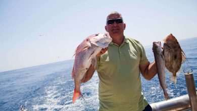 Become A Fisherman With Gulliver 11 Fishing trip with Gulliver Travel