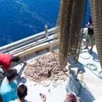 Become A Fisherman With Gulliver 5 Fishing trip with Gulliver Travel