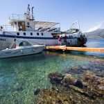 Become A Fisherman With Gulliver 2 Fishing trip with Gulliver Travel