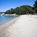 Become A Fisherman With Gulliver 4 Fishing trip with Gulliver Travel