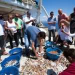 Become A Fisherman With Gulliver 6 Fishing trip with Gulliver Travel