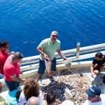 Become A Fisherman With Gulliver 10 Fishing trip with Gulliver Travel