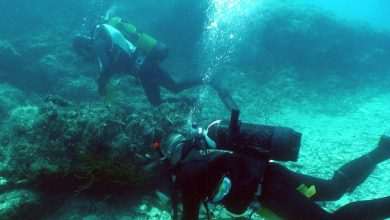 Fodors travel: Travelers want to go to Croatia! 1 Seabed Clean-up for Koločep Island